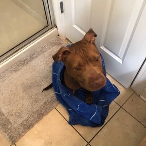 Meet your Posher, Lauryn